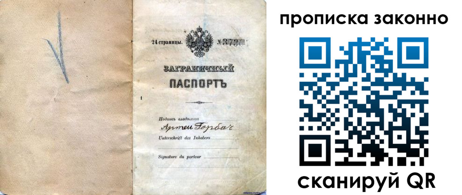 прописка 2025 в Александровске