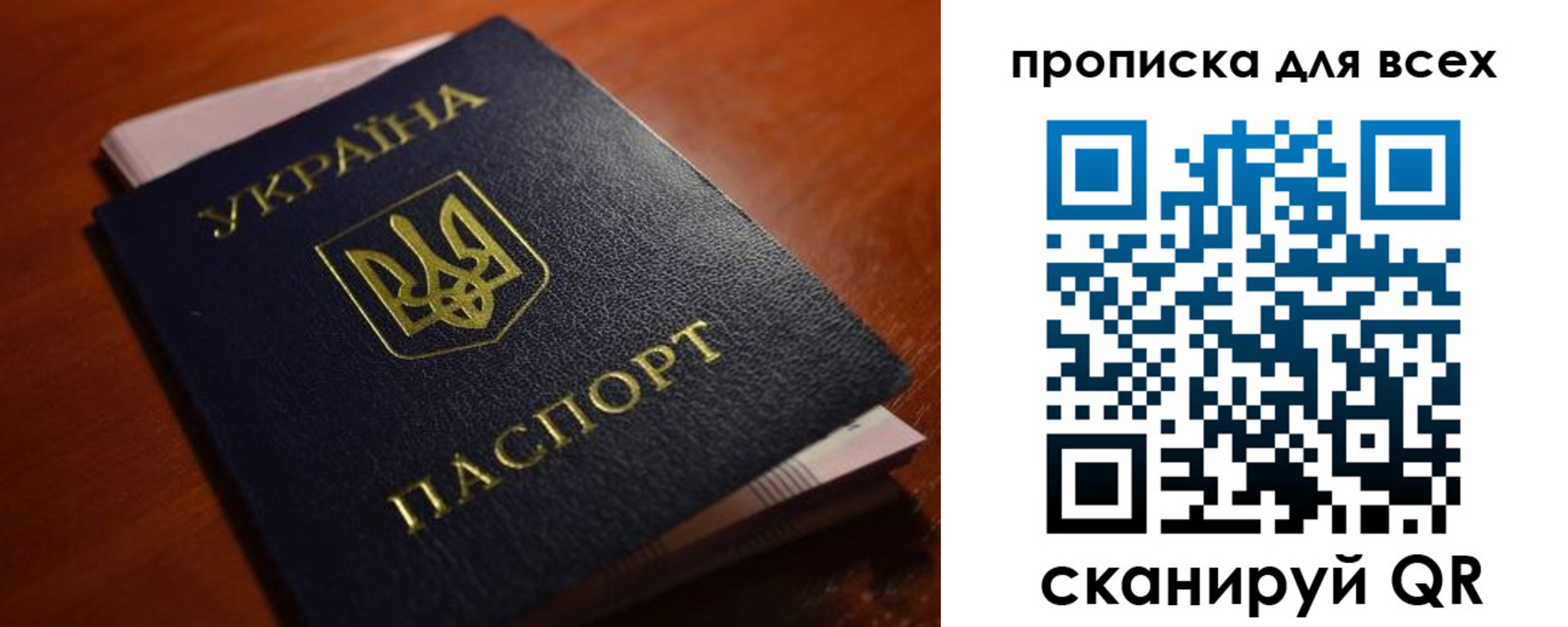 прописка законно в Александровске